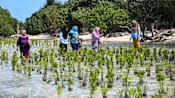 Indonesia pari island story 25