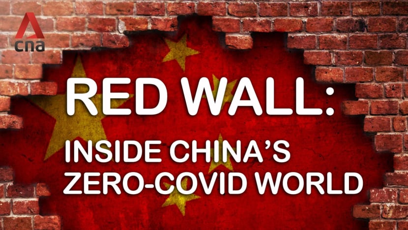 Red Wall: Inside China’s zero-COVID world - Trailer
