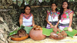Related article image