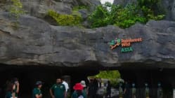 Related article image