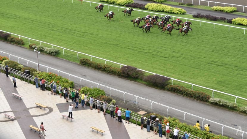 Racehorse owners, industry to appeal against Singapore Turf Club closure