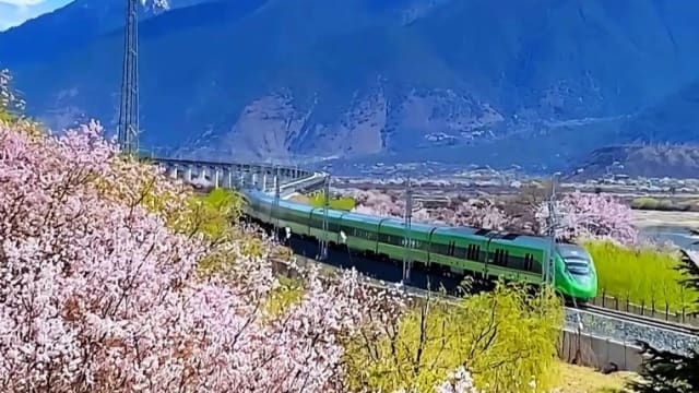 中国西藏去年接待的国内游客人数和旅游总收入创新高