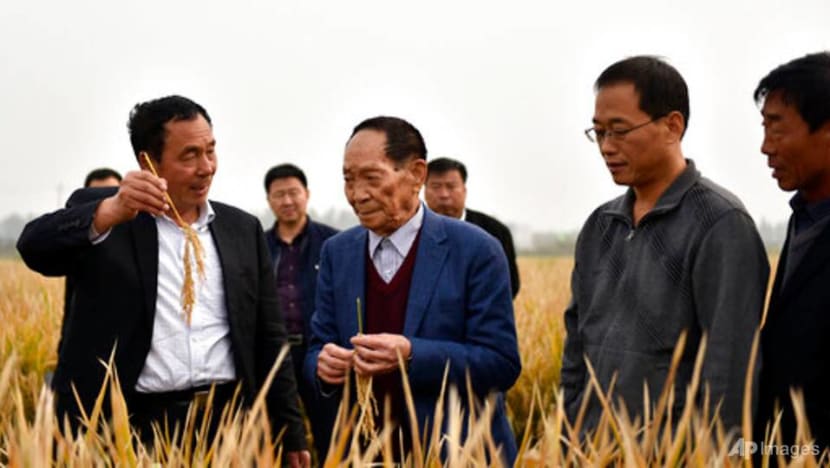 China's Yuan Longping, whose rice research helped feed the world, dies at 90