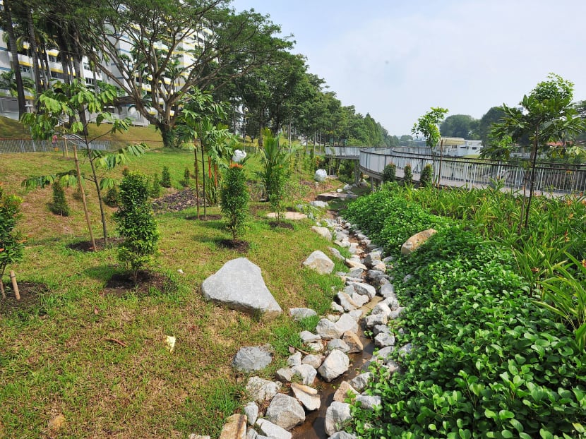 First ‘river classroom’ at Sungei Ulul Pandan