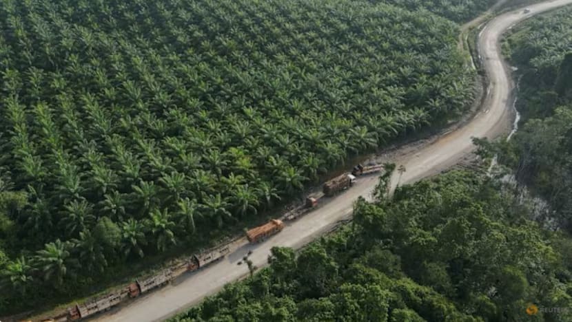 Indonesia pertimbang campuran 1% bahan api penerbangan mampan jelang 2026