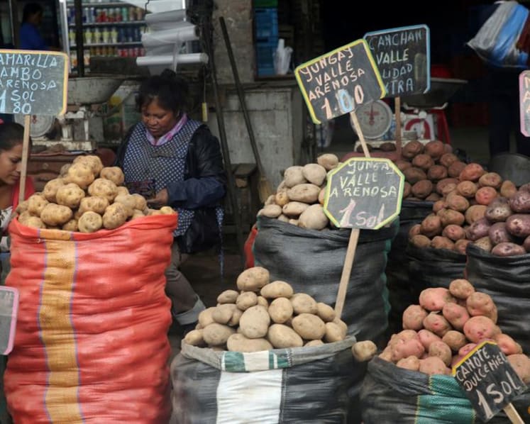Study shows how a potato-based diet changed the genetics of Andean people