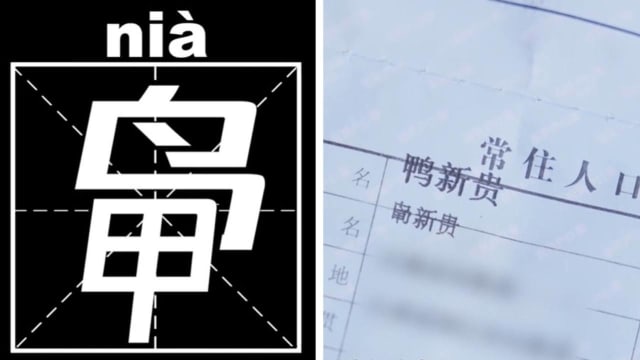 因姓氏太罕见 中国全村集体改姓“鸭”引发热议