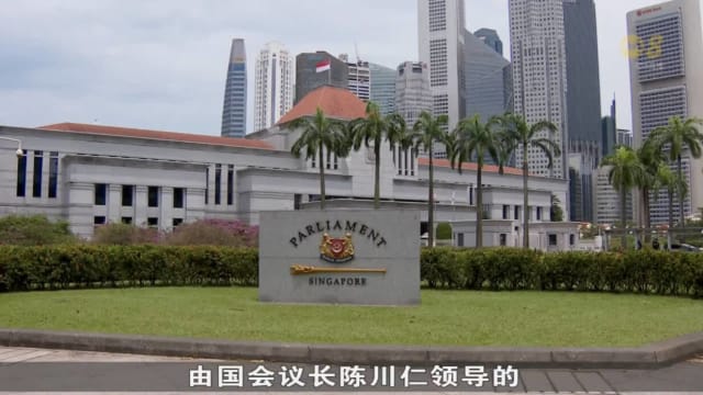 13名来自不同领域人士将角逐官委议员