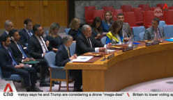 UN Security Council expresses grave concern over fighting in Syria