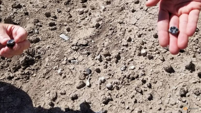 Ethiopian fossils reveal new species in human evolutionary lineage Ethiopian fossils reveal new species in human evolutionary lineage