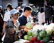 No evidence of formaldehyde contamination in tested cabbages from China: SFA