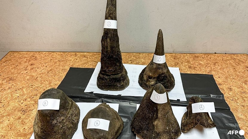 Man arrested in Thailand for smuggling rhino horns