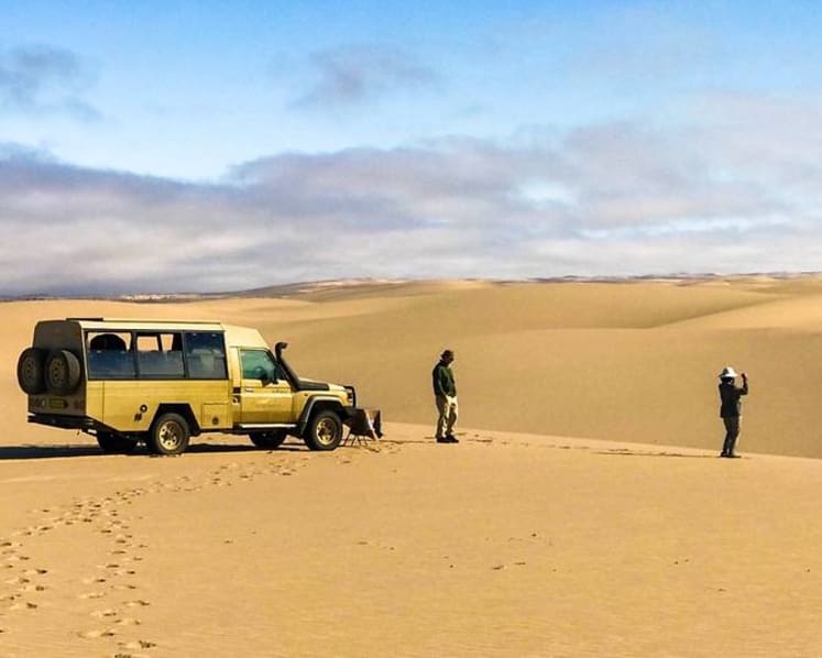 From whale-spotting to desert glamping: Luxury travel experts share their most unforgettable adventures