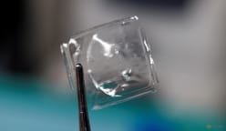 Scientists in Japan develop plastic that dissolves in seawater within hours