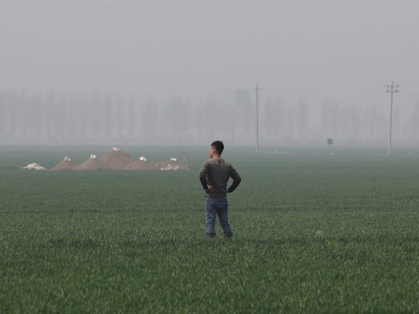 Xi’s grandiose urban ambitions hit the wall