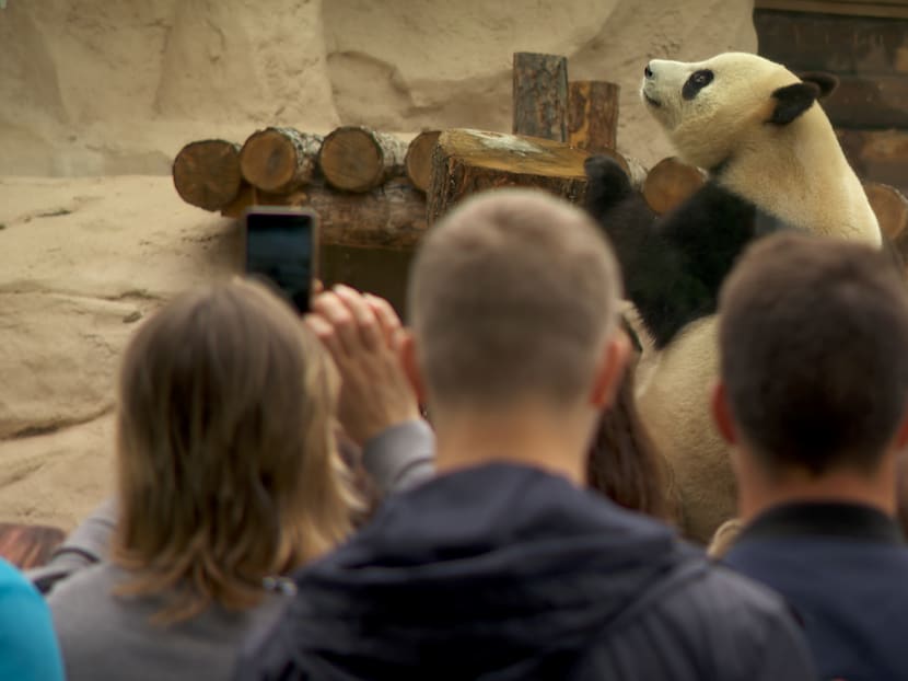 From Chinese Civil War to trade war, the Sino-Russia embrace endures