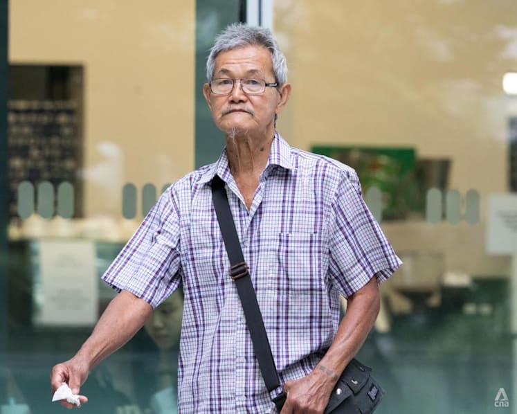 77-year-old man fined for freeing crows, disrupting NParks' trapping operation