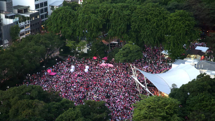 Pink Dot supporters turn up in force despite tighter security measures