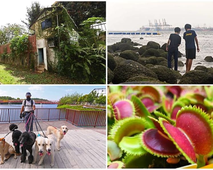 Up Your Alley: Punggol’s gleaming waterfront living steeped in rustic charm