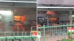 Related article image