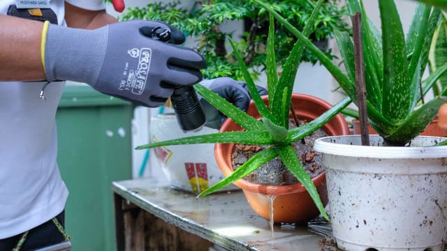 去年骨痛热症病例逾1万3600起 同前年相比增37％