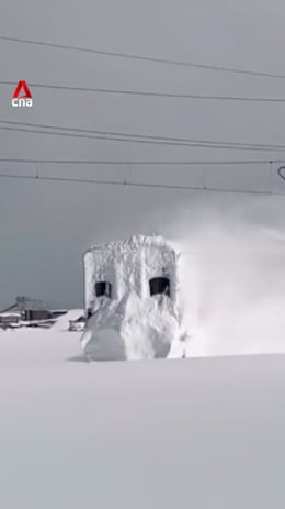 Japan sees record snow as cold waves sweep the country