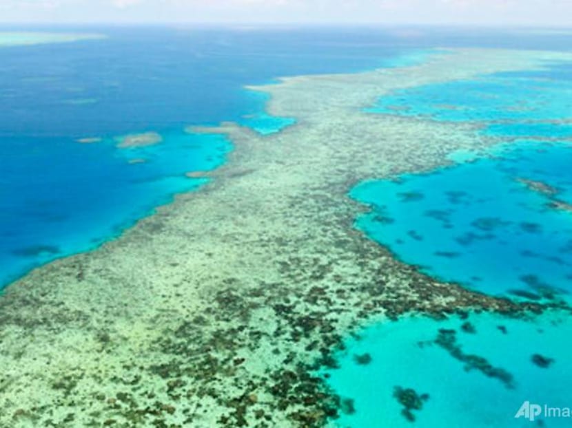 UNESCO chides Australia over Great Barrier Reef proposal