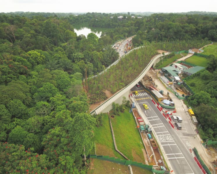 Bridge for animals to cross Mandai Lake Road opens; plans afoot to restore part of forest