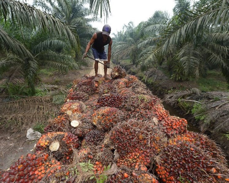 Corporate alliance aims to deliver ‘haze-free’ products