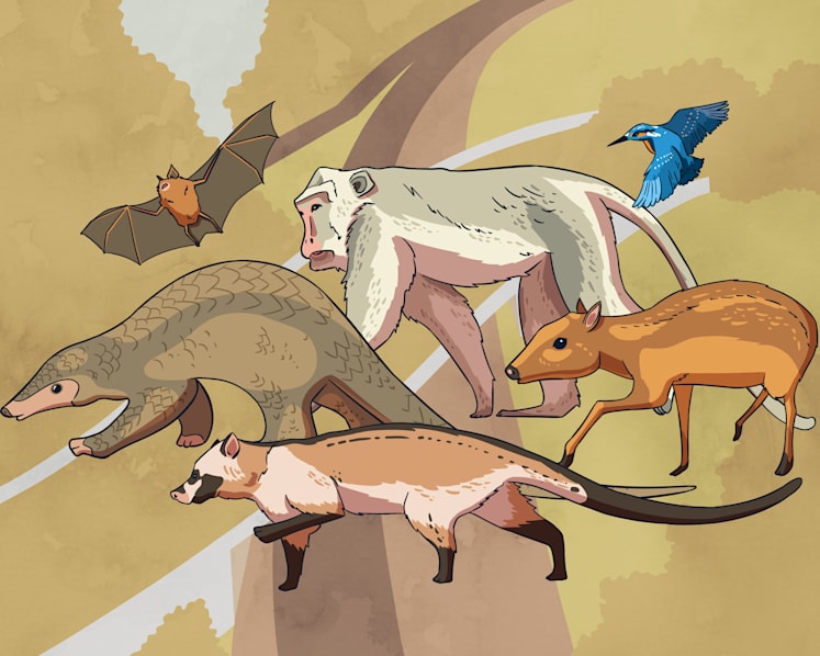 The Big Read in short: How wildlife bridges help save Singapore's endangered animals  