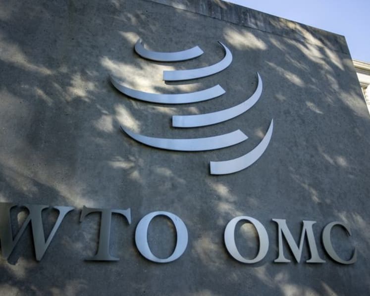 WTO panel largely rejects Indonesia's challenge to EU duties in fatty acid imports dispute