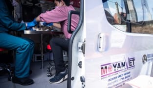 Dokter hewan mobile keliling Jakarta, solusi praktis untuk pemilik hewan peliharaan?