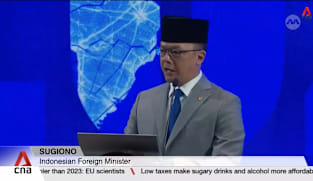 International law increasingly being misused, says Indonesian FM Sugiono in annual address 