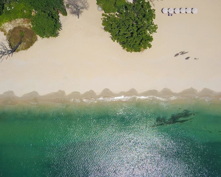5 must-do activities on Desaru Coast to complete your sun-filled beach holiday: From ostriches to a waterpark