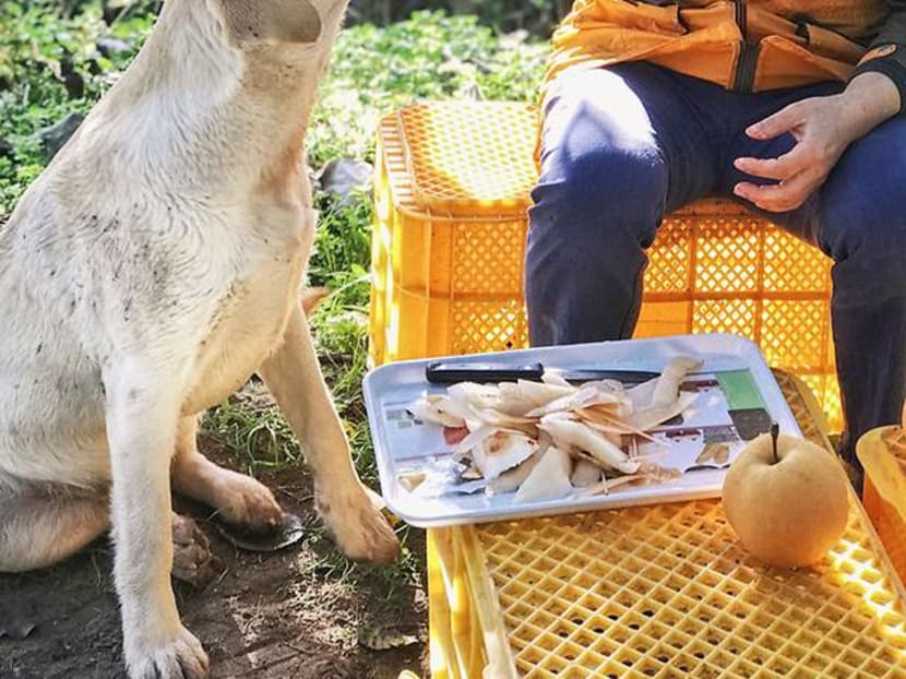 We Visited Korea's Farming Region And It's More Happening Than We Imagined