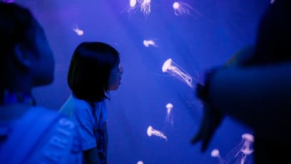Best Things To Do In Singapore This Weekend (June 16-18)