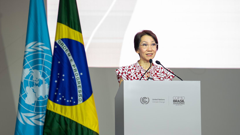 Collective action needed for Paris Agreement goals to be realised, says Grace Fu at COP30