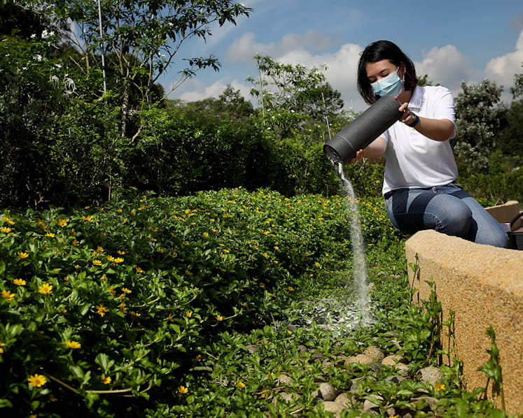 New garden at Choa Chu Kang Cemetery Complex for families to scatter ash remains of loved ones