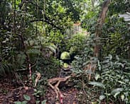 Nature groups call for stronger environmental safeguards over Sunset Way, Gillman Barracks housing plans