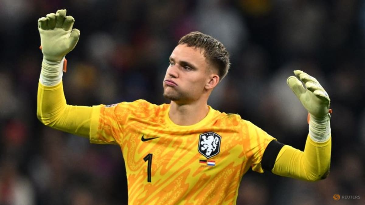 Dutch concern over fitness of goalkeeper Verbruggen