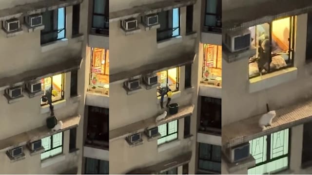 疑救窗台外墙爱猫  港男不慎从高楼坠落身亡