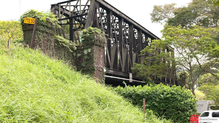 Iconic steel bridges along Rail Corridor up for conservation