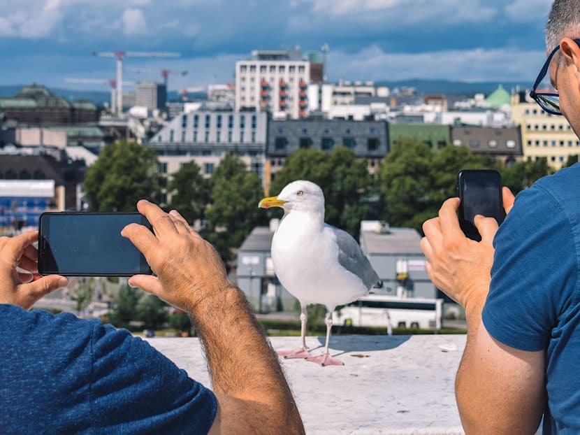 Why travellers cannot resist taking photos and sharing them on social media instantly