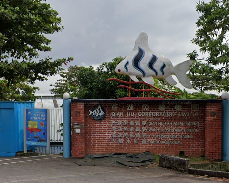 Man jailed for stealing albino stingray