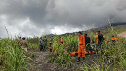 Related article image
