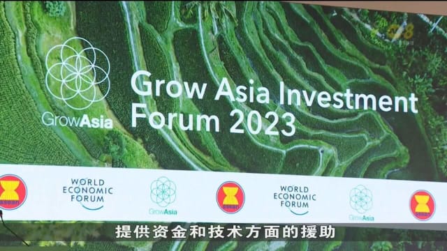 傅海燕：各国须采取果断行动 确保粮食供应稳定性