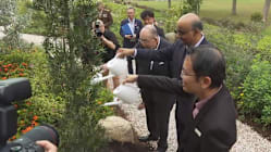 Related article image