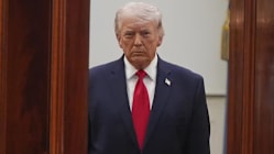 Related article image