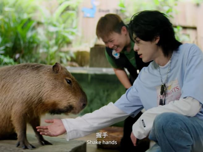 From capybara to basketball: Chinese actor-singer Dylan Wang promotes Singapore in STB video series