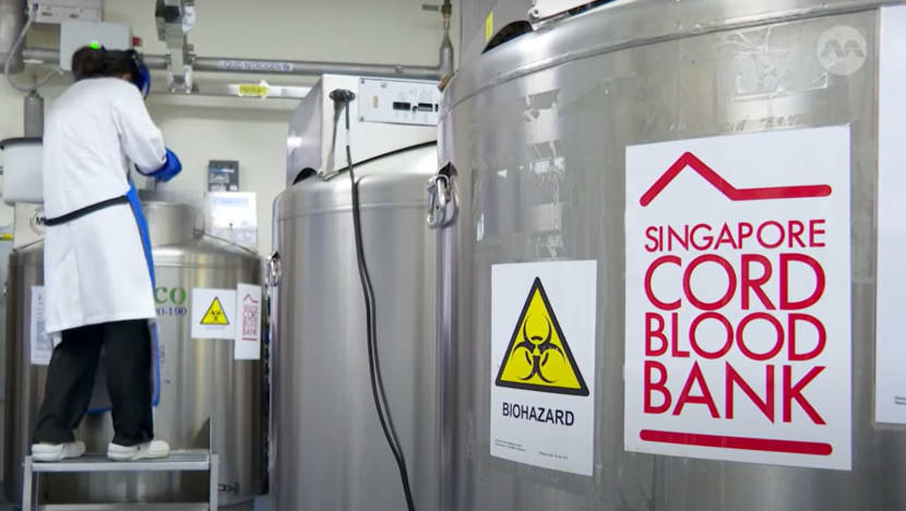 Singapore’s public cord blood bank faces donor shortage despite rise in awareness Singapore’s public cord blood bank faces donor shortage despite rise in awareness